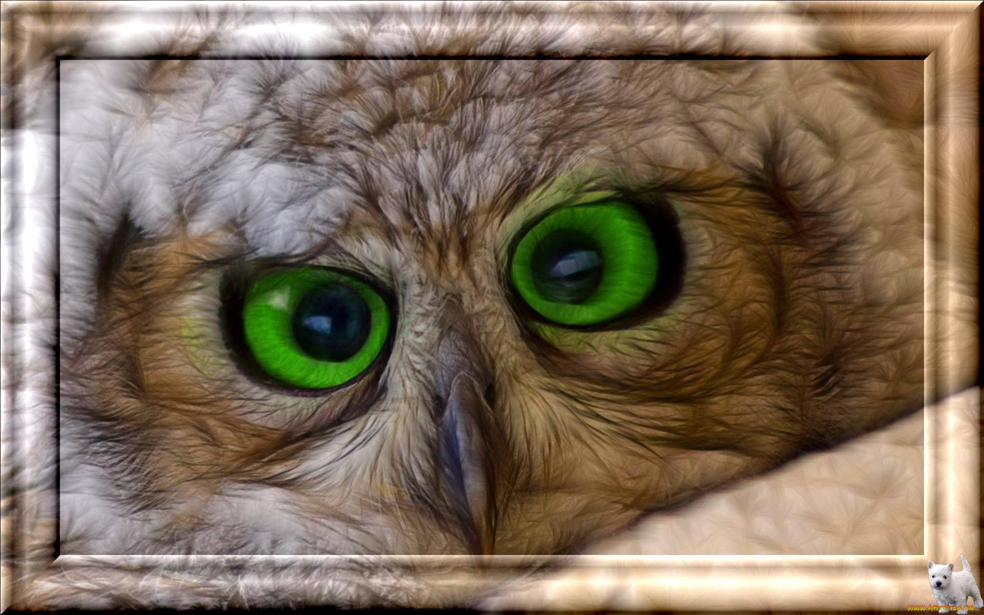 3, , animals, , 